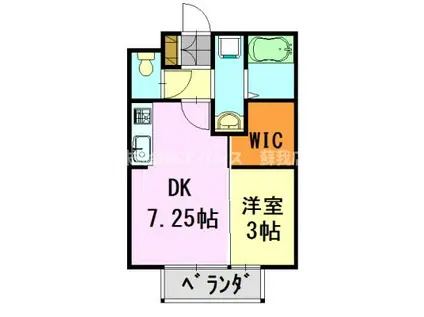 フェリシタドゥジェーム(1DK/1階)の間取り写真