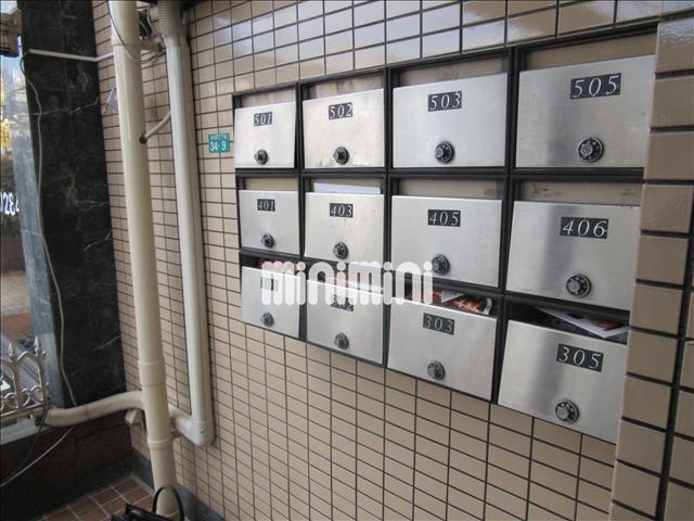 シンセリテイ津田