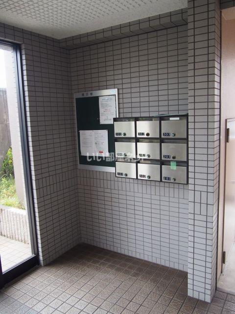 アピタシオンB