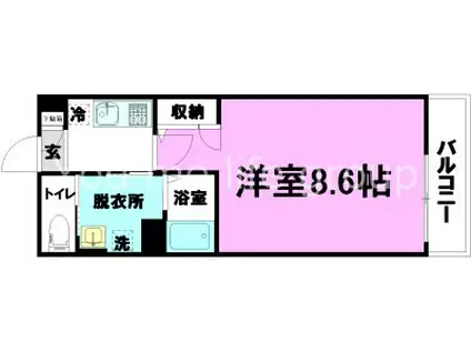 ソフィア55(1K/1階)の間取り写真