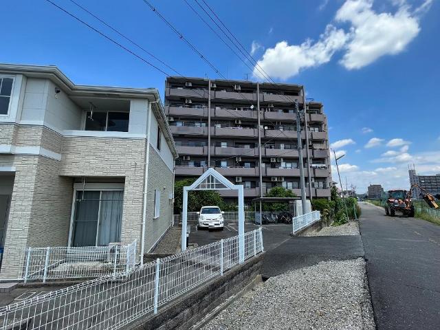 ドゥ アンジェロ
