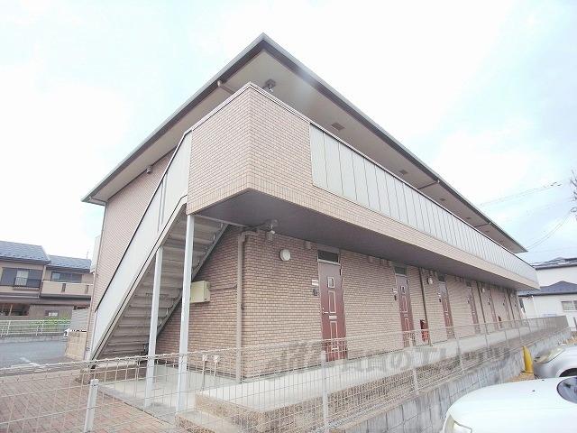 ベアグラス