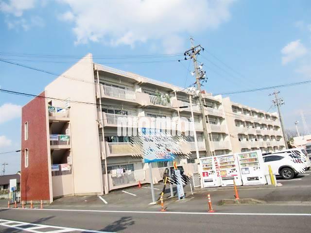 西荘ビル(2LDK/1階)