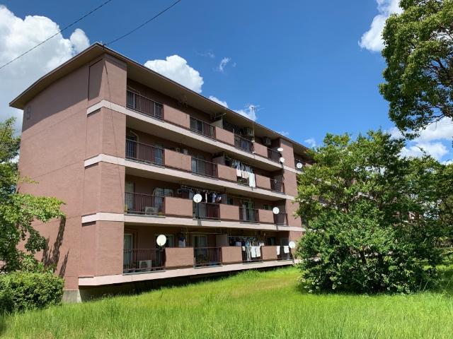 鍋屋上野