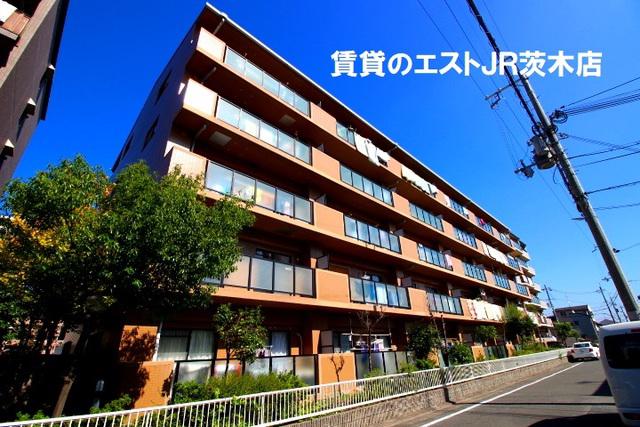 若園11番館