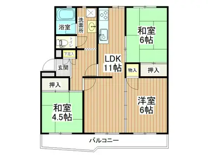 今羽町団地8号棟(3LDK/3階)の間取り写真