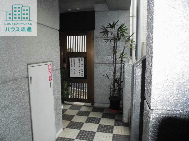 胡蝶花サルナート