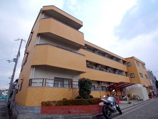 ビオラ並木台