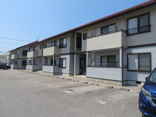 ハイツナシノキ