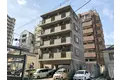 コニファー堀江