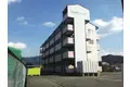 新柏原ビレッジ1号