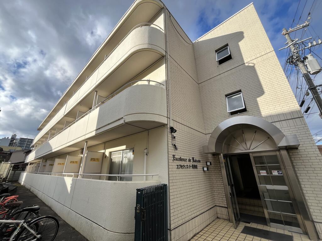 エクセランスド花京院