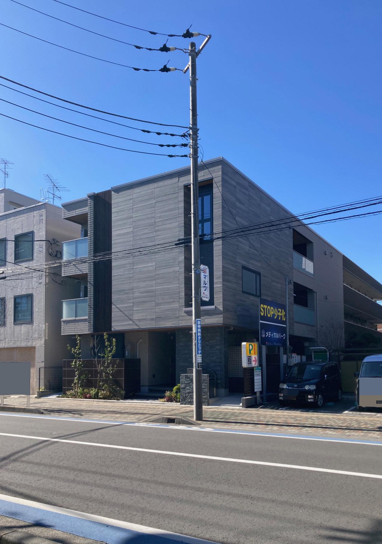サンスベリア大和