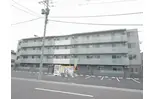 セントポーリアエール