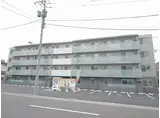 セントポーリアエール