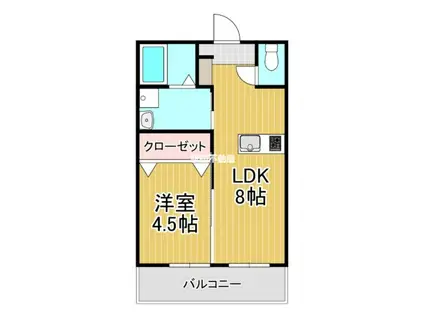 ラフィーネコート(1LDK/1階)の間取り写真