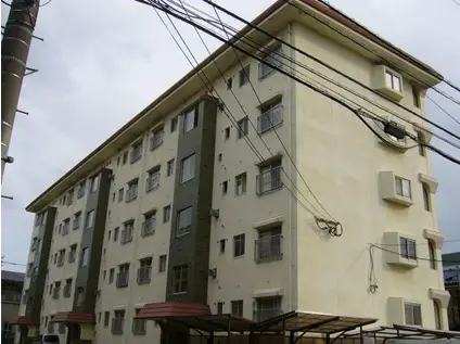 大神ビル(2LDK/5階)の外観写真