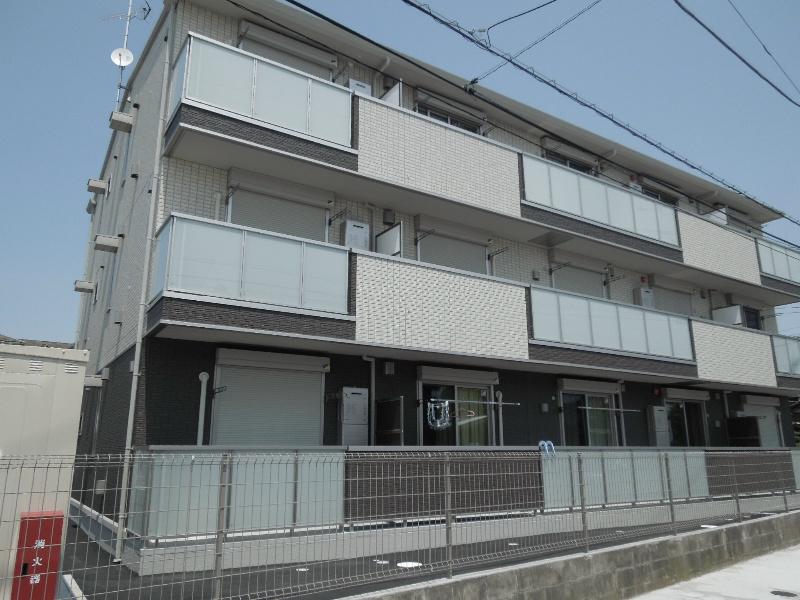 サンフラワー