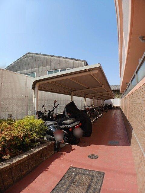セレンディピティO.V