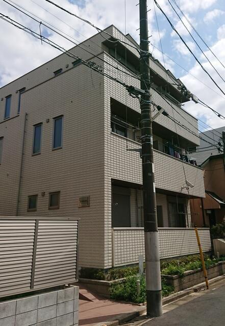 サンセベリアI