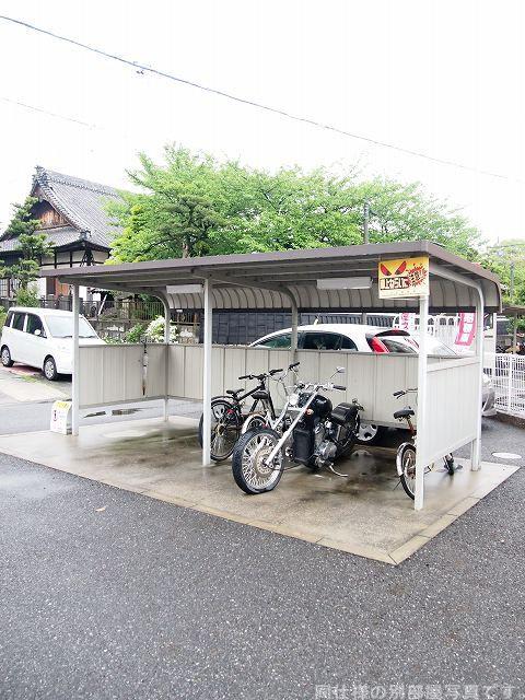 エクセルグリーンIII