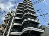 シャロン灘