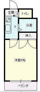 セレーネ白山(1K/5階)の間取り写真