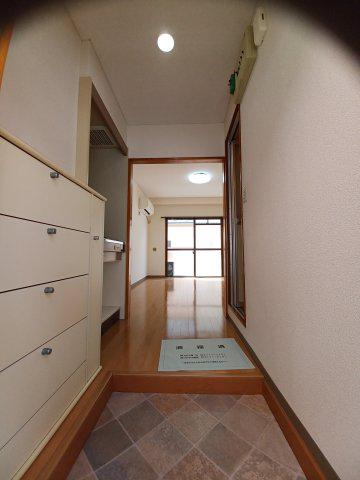 Bモード池上