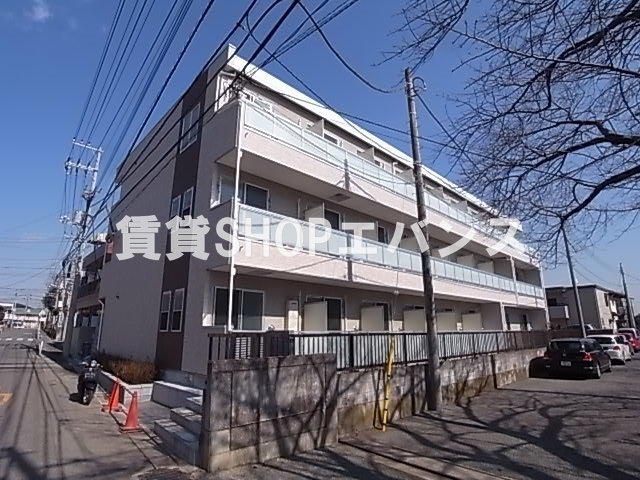 リブリメープル