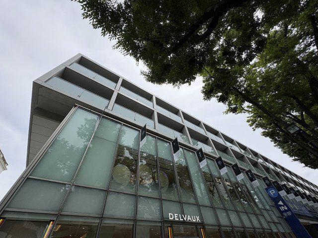 表参道ヒルズゼルコバテラス W