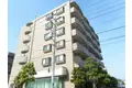 エーヴィゲス市川