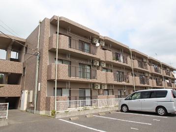 ひかりMY