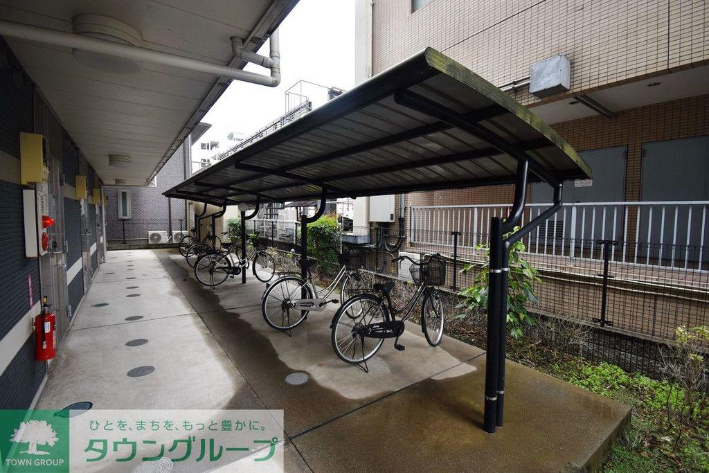 レオネクストコスモス