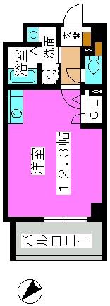 スーペリアニューハイム薬院(ワンルーム/5階)の間取り写真
