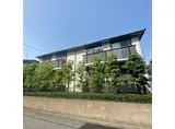 サークルナイン B