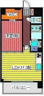 埼玉高速鉄道 川口元郷駅 徒歩7分 10階建 築16年(1LDK/5階)の間取り写真