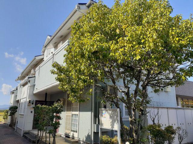ビアンメゾン(2DK/1階)