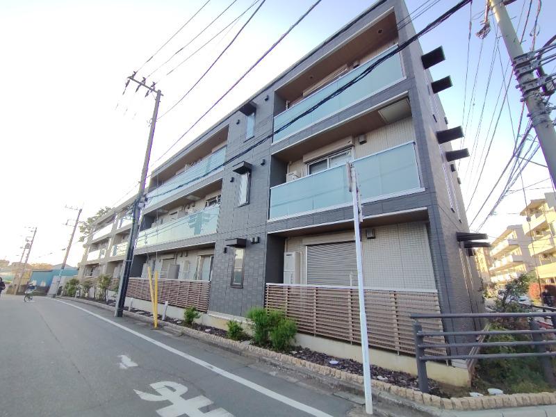 ステラ美光