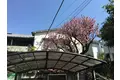 ブルーム菊名