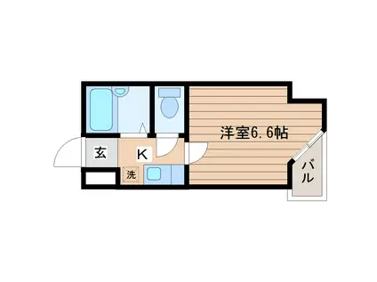ベルシティ黒松(1K/1階)の間取り写真