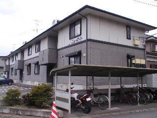 ニューポート
