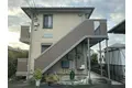 カメリア