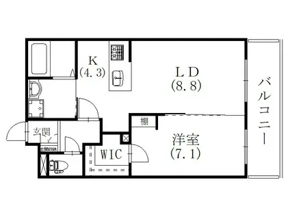 ドゥプランニングマンション(1LDK/5階)の間取り写真
