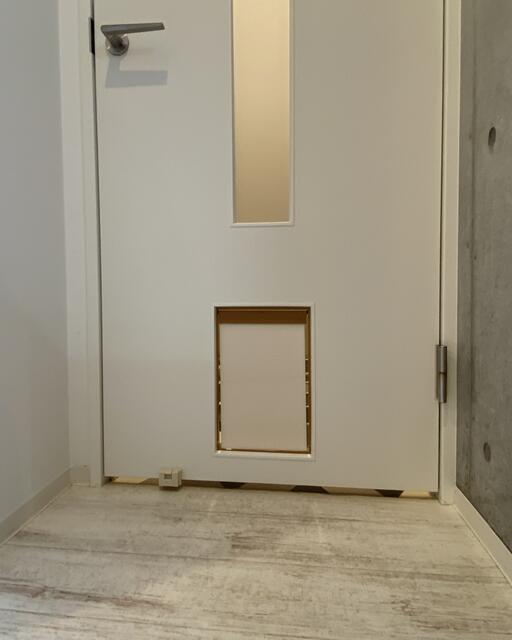 ブルドッグフランセ駒沢