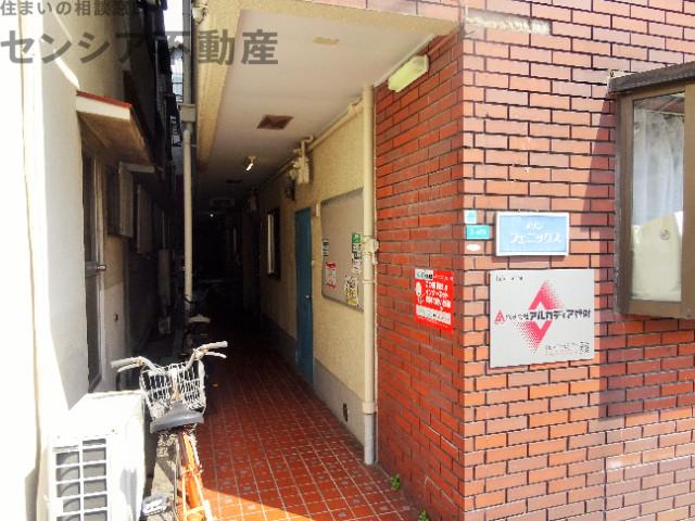 メゾンフェニックス