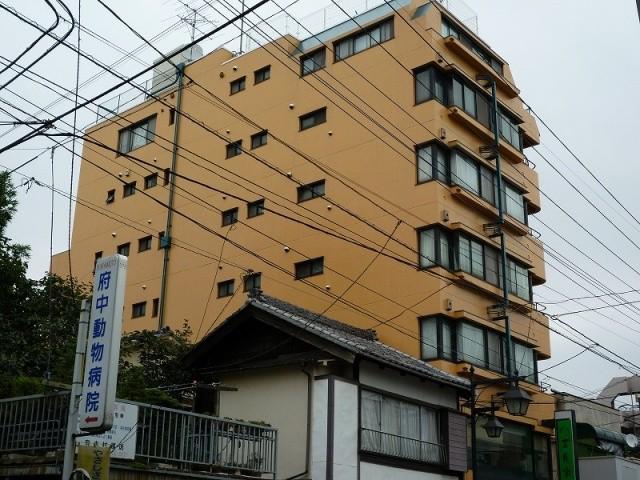 フレア443