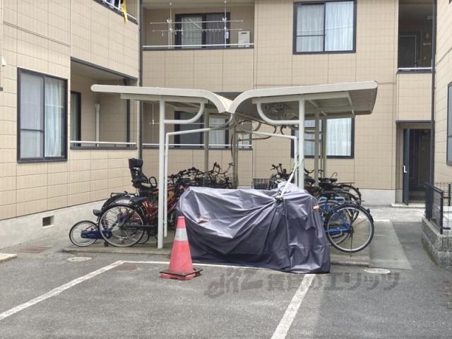 アルカディア