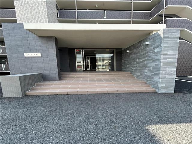 シェルフ藤