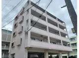 メープル