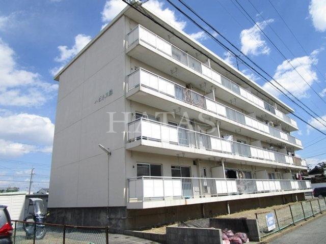 ハピネス緑
